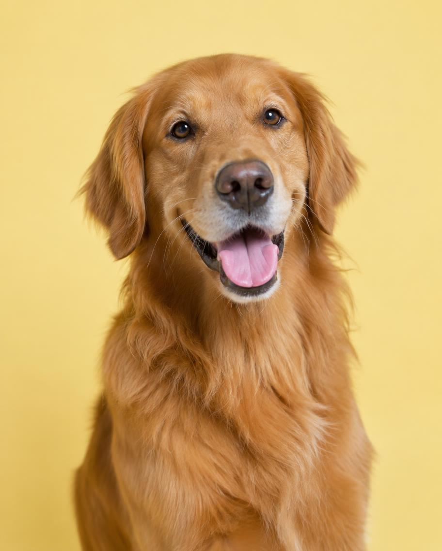 Milo